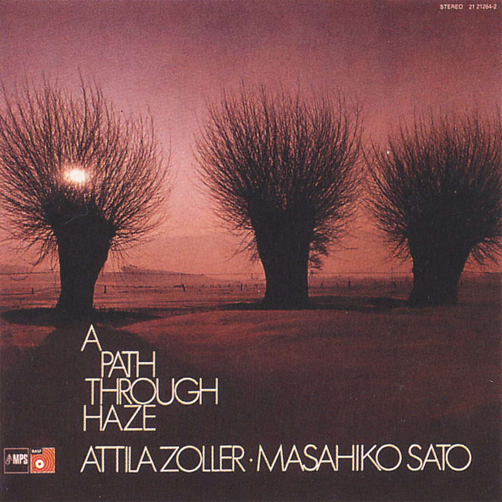 A Path Through Haze - MPS : MPS
